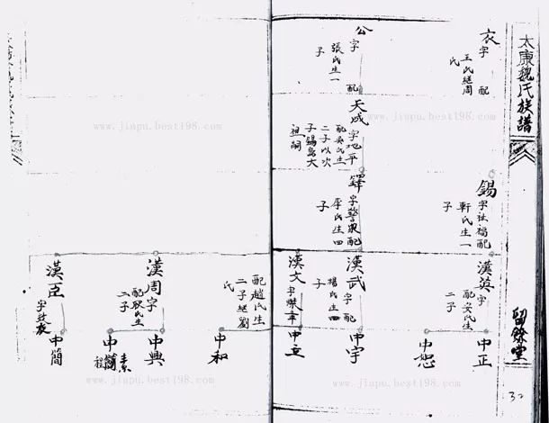 基本的家谱格式