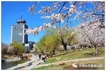 长春市各大公园的前世今生 胜利公园:日本人偷