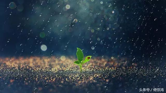 中美独角兽企业对比:两国数量之和占全球比例