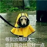 主人设置了权限,女生的秘密仅女生可见,男生勿