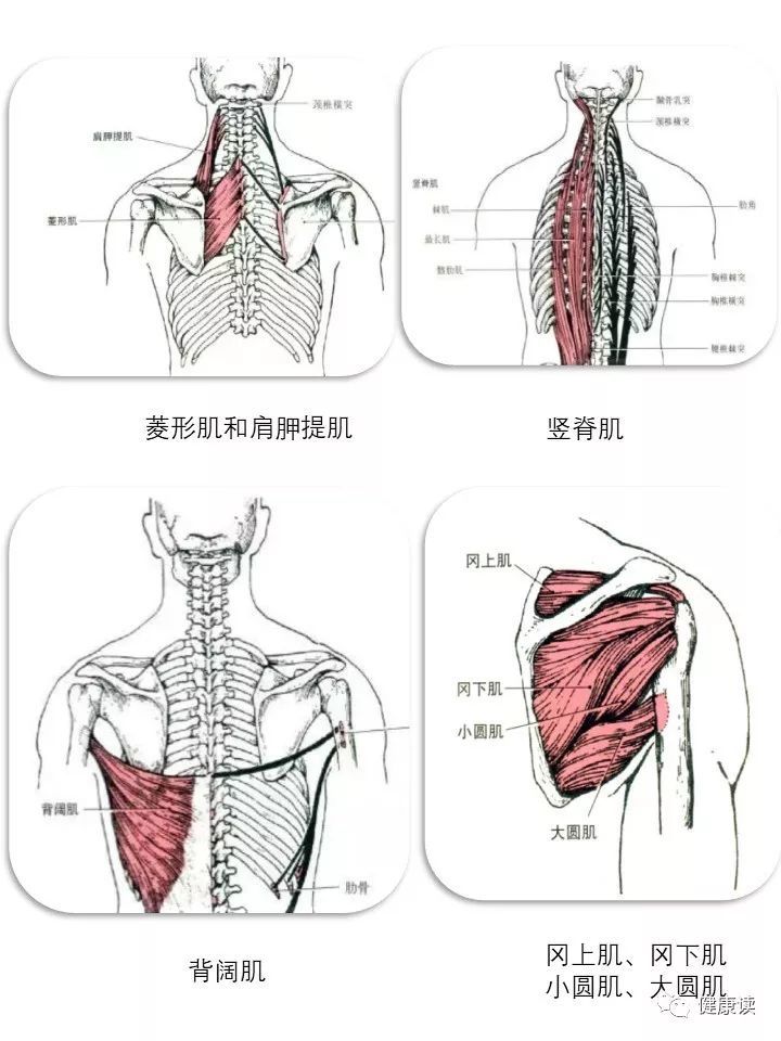 肩胛内侧疼痛,原来这样可以缓解!