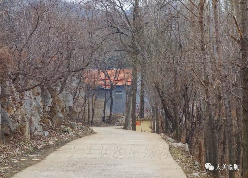 临朐寺头镇上山枣村