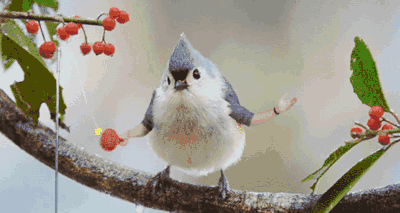 壁纸 动物 鸟 鸟类 雀 400_213 gif 动态图 动图