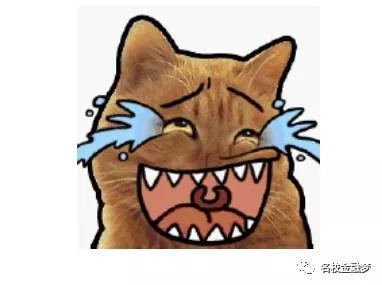 被四大拒了14次,心酸or庆幸?