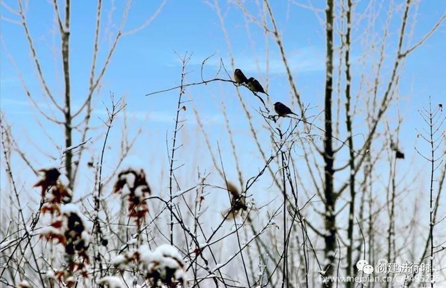鲁山创卫杯征文推送稿件-鲁山啊,在你的洁净卫