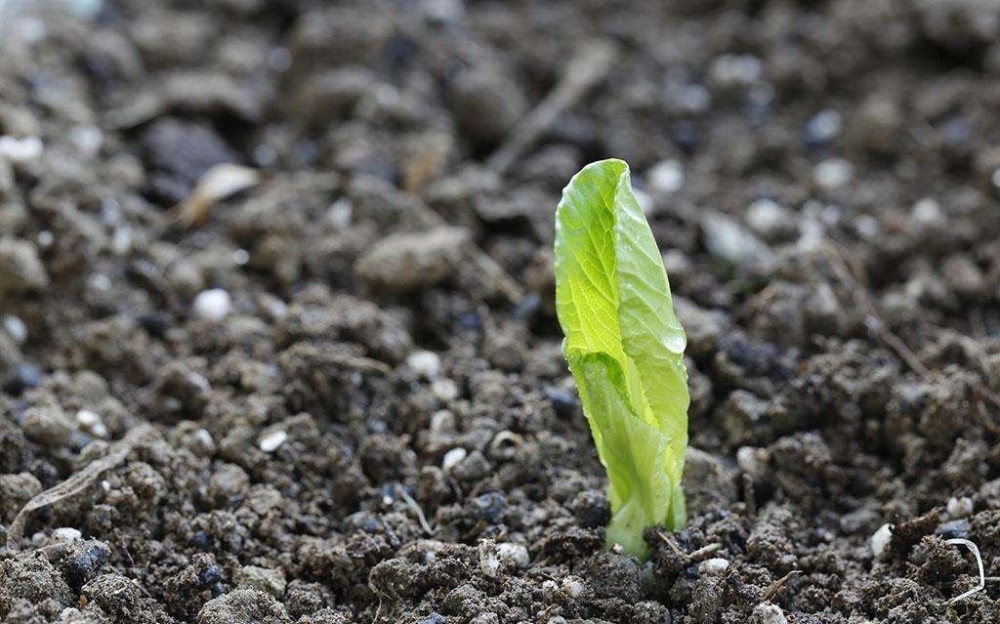 必看:如何打破常规,建立一套全新的健身房盈利
