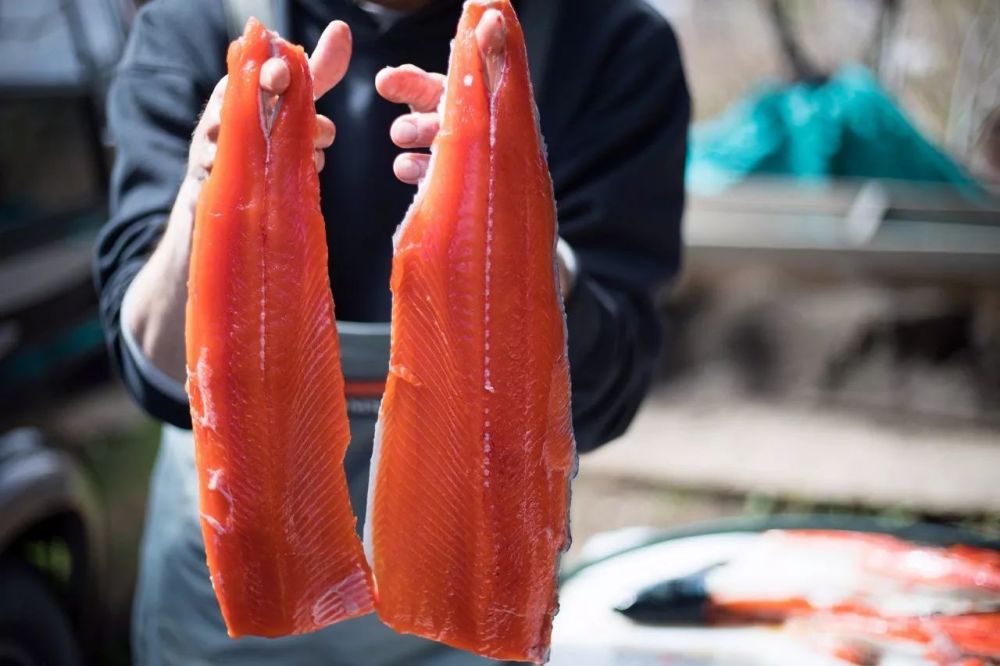 《帕丁顿熊3:吃货的自我修养》 如果帕丁顿来