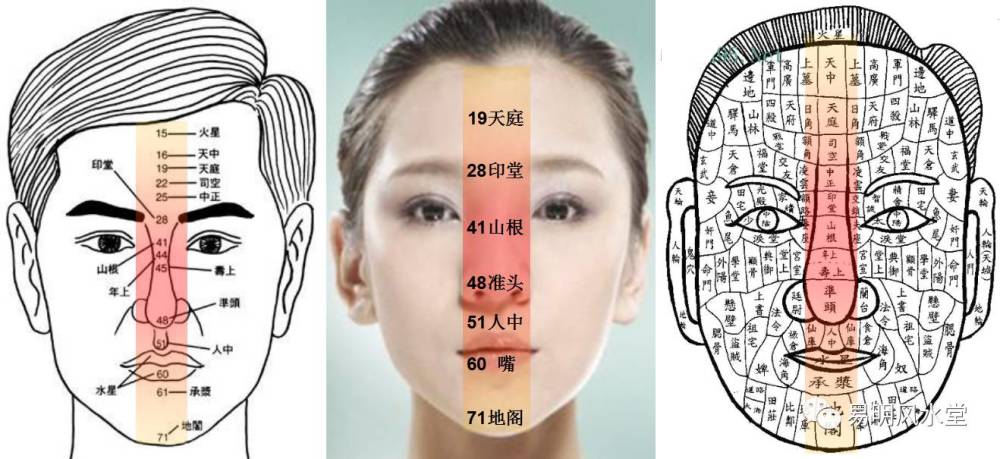 脸部中轴线是面部最核心的部位.会几个就看几个,不用都学会.