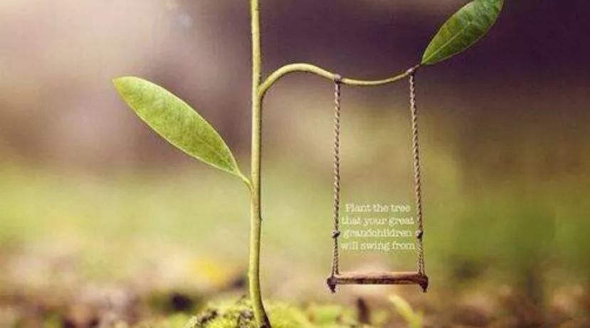 天国的另一端,有一个叫做家的地方