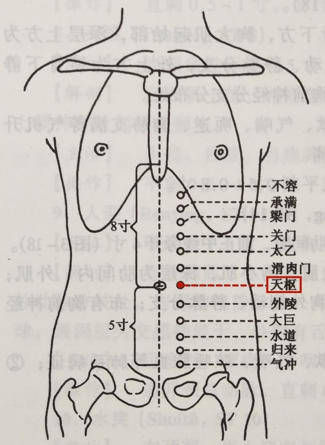 便秘的经络理疗排毒治疗法