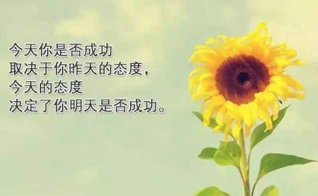 让心态变好的正能量句子,句句鼓舞人心,值得珍