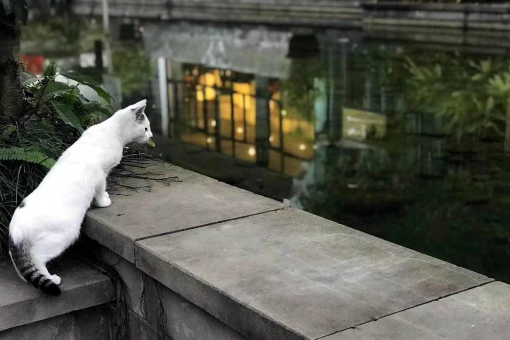 小迪家庭教育原创分享(五)-天天快报