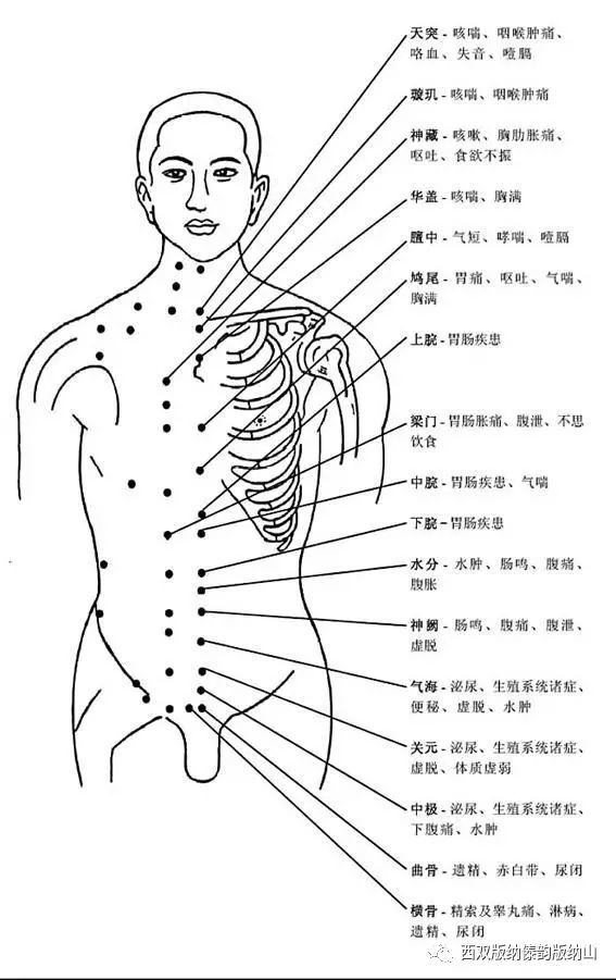 老高分享最全高清人体穴位图及穴位图解大全