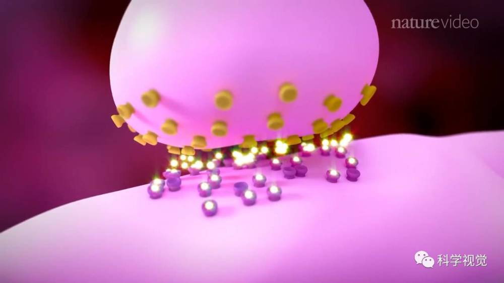 Nature期刊:抑郁症及其治疗中文字幕