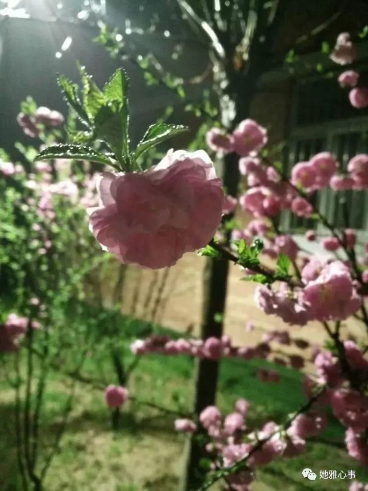 论朋友的重要性