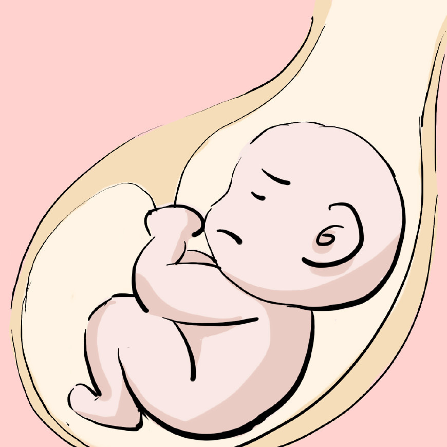 很多孕妈想知道:宝宝有了第一次胎动之后,是不是每天都会有胎动?