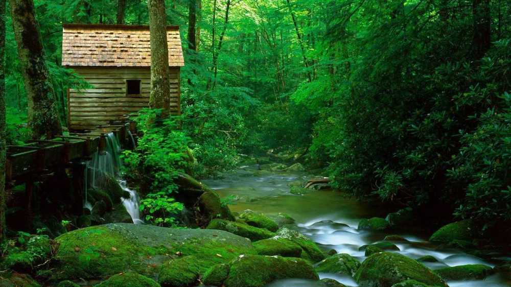 宁静的小屋,森林深处,小溪水塘旁,再幽静不过来,真正的世外桃源,好想