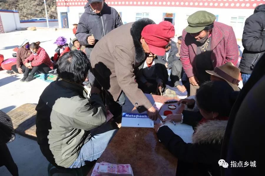 今年,乡城县青麦乡仁堆村牦牛合作社收益14.5