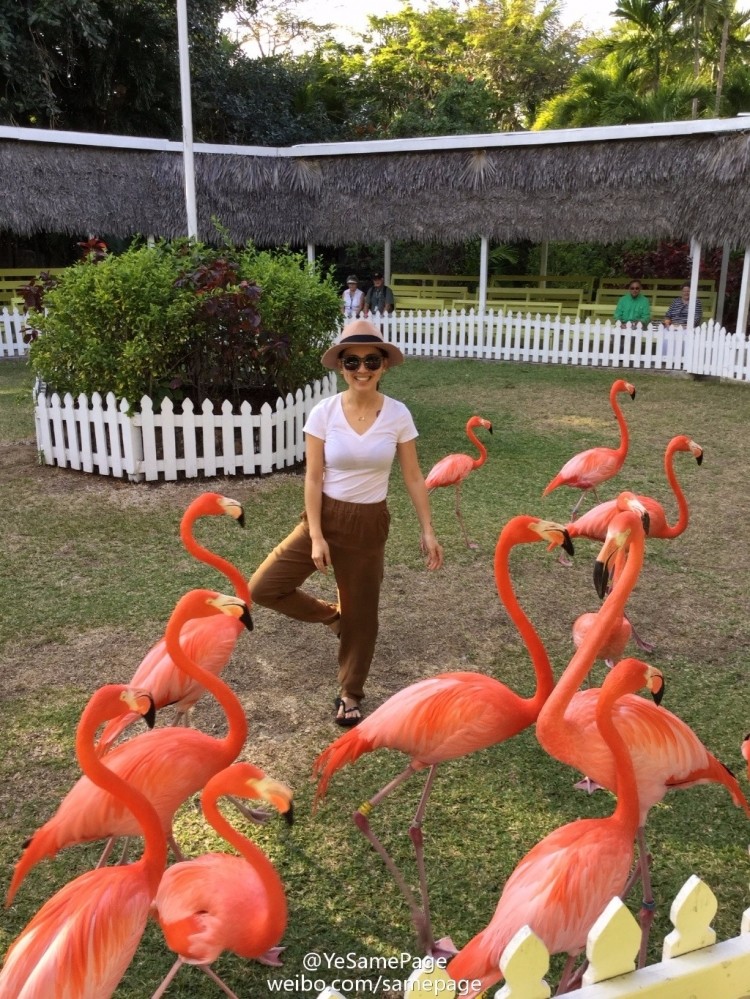 15年了,《少年黄飞鸿》里的欧小倩,现在长这样