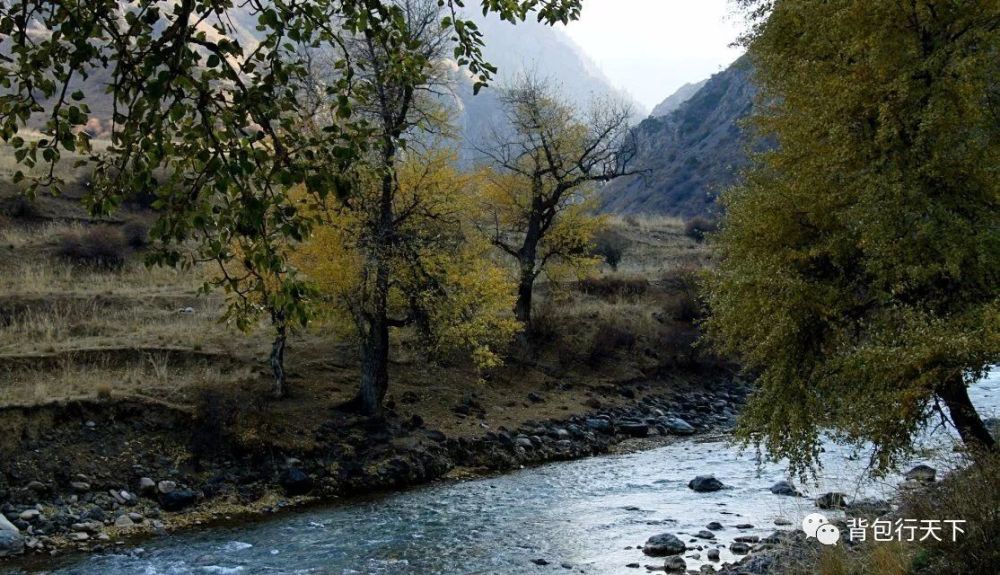 私企七年:一家民营企业的兴衰史