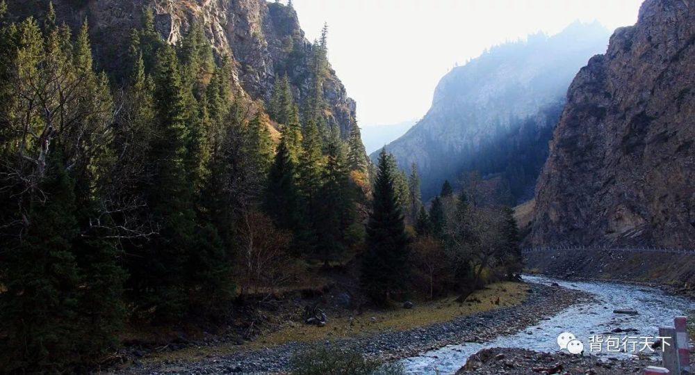 私企七年:一家民营企业的兴衰史