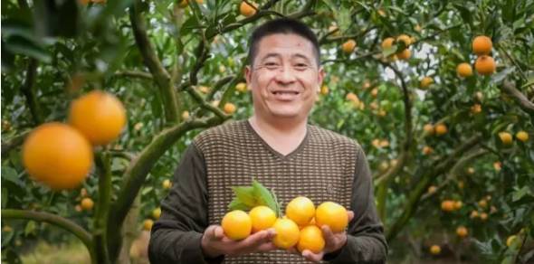 你若不跑,将被赶超!2018年农产品微商该怎么做