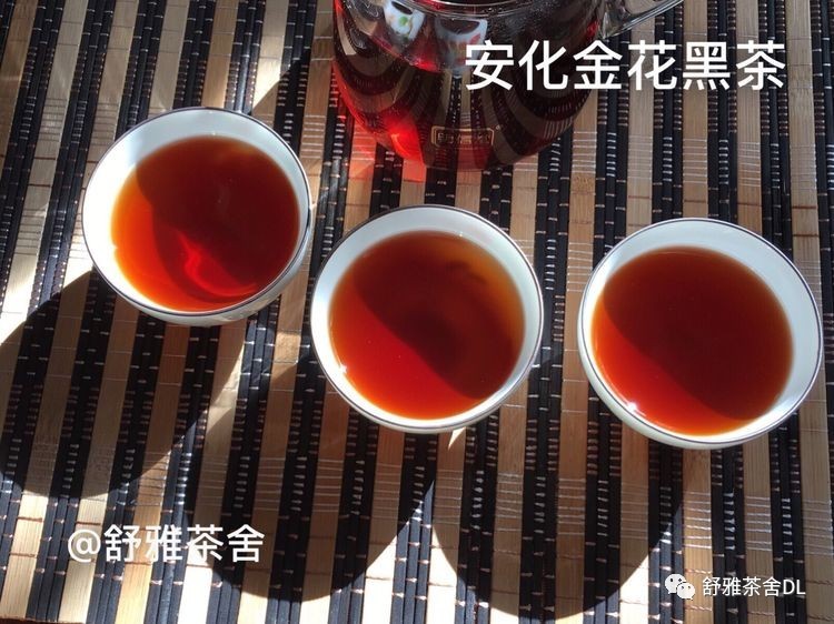 安化黑茶·冠突散囊菌·冰碛岩