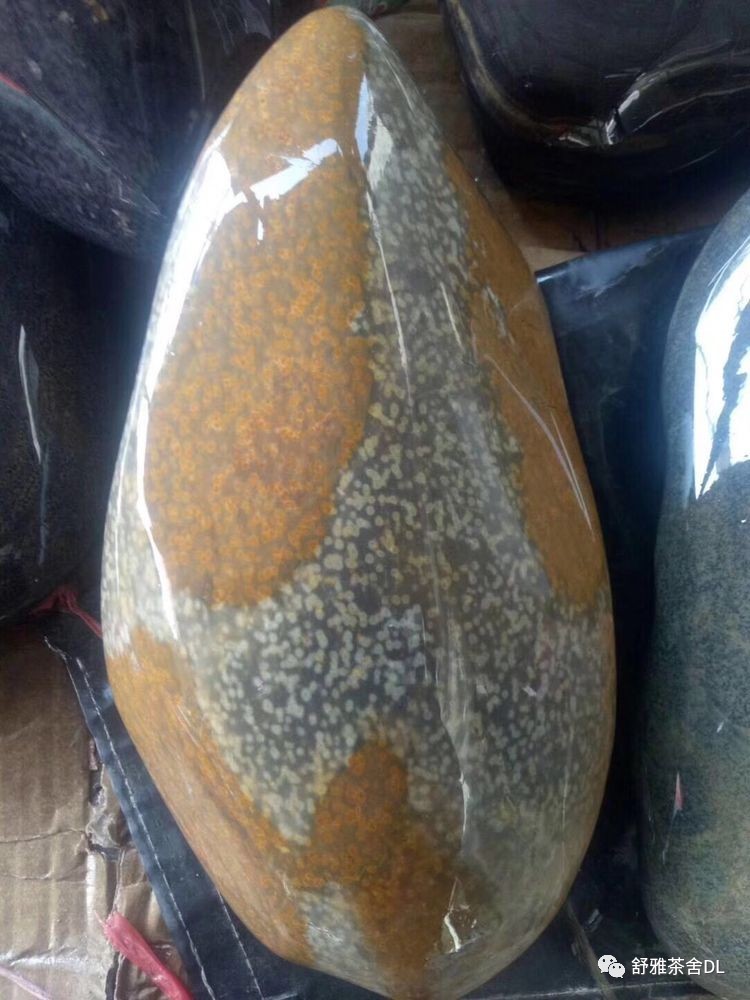 安化黑茶·冠突散囊菌·冰碛岩