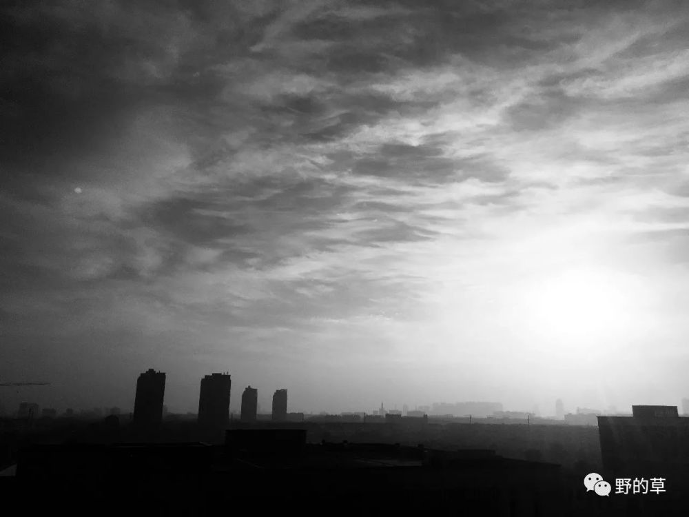 我的2019考研倒计时365天