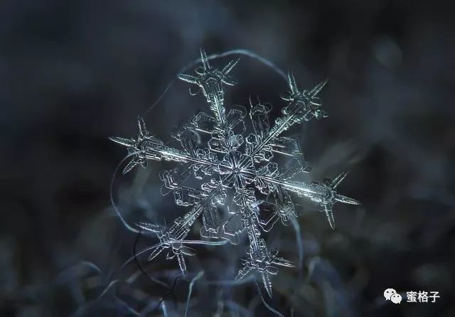 三篇雪之风花雪月