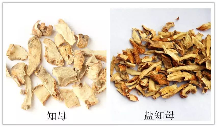 每周认知一味中药——知母