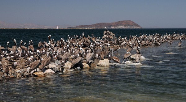 国家地理年终呈现:2018最佳冬之旅目的地,新年