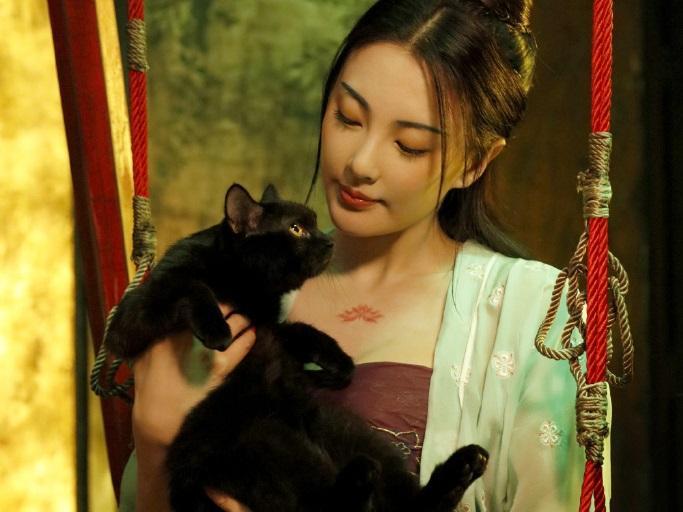 空海不是主角!日本网友称被《妖猫传》译名骗了