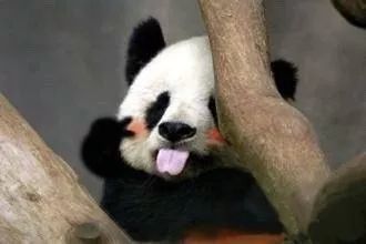 好了,别哭了