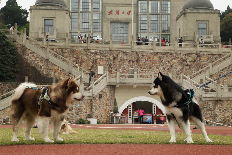 时时彩计划你们知道那些?