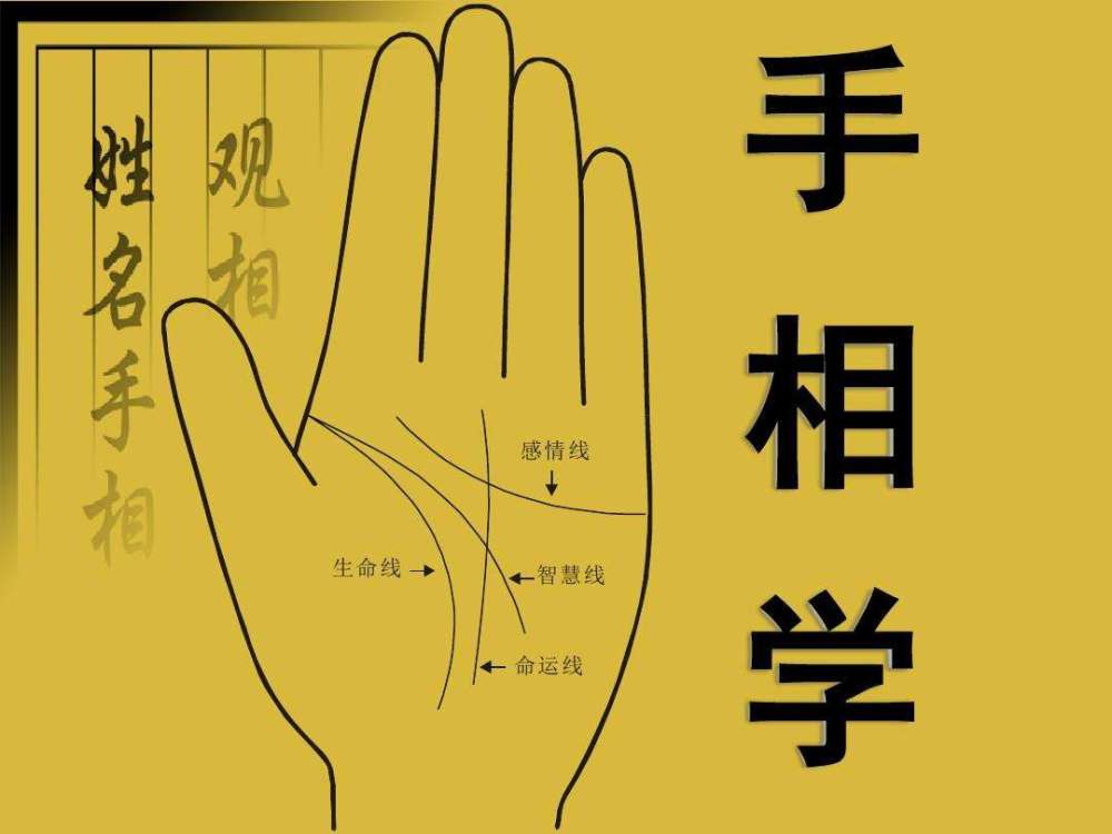 有福之人的手相,头胎富二胎贵,注定一辈子福禄无双,儿女双全