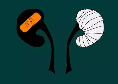 脑子瓦塔了-代谢性脑病概述