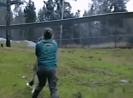 妹子徒脚踹哭野狼,搏击过程让人心疼