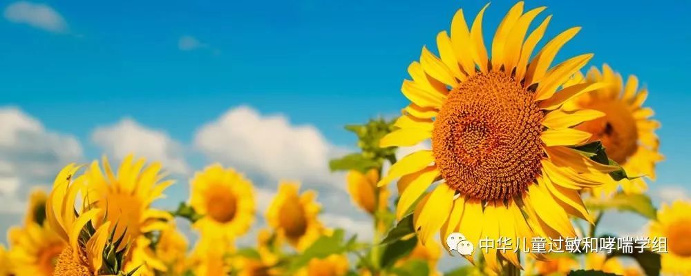 口腔过敏综合征