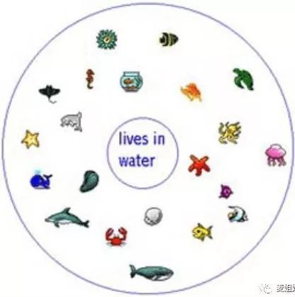 都被翻译为思维导图的MindMap和ThinkMaps