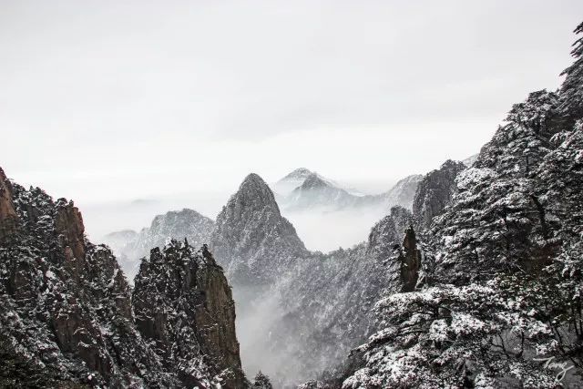 别问我什么季节去黄山最好了,冬天去就对了!