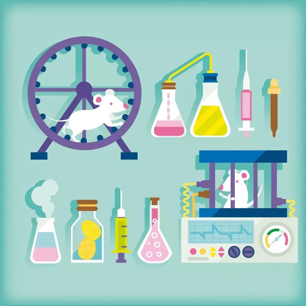开发:"五华区科学器材配送管理平台"