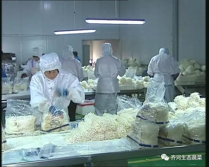 齐河县3家蔬菜企业入围农业产业化省级重点龙