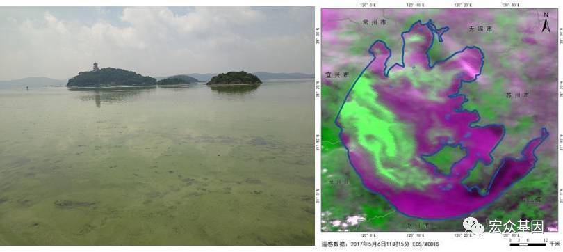 微生物多样性系列1:16s rrna引物的选择及其测序策略