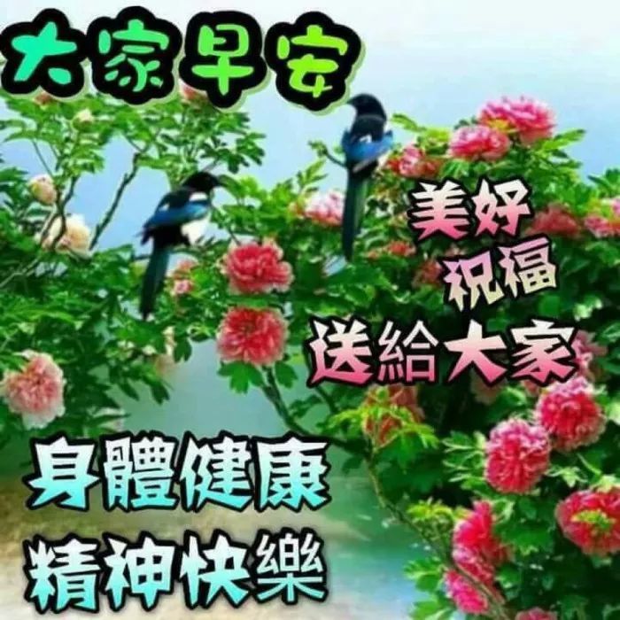 最美朋友圈早问问候图片带字 最漂亮朋友圈早上好问候