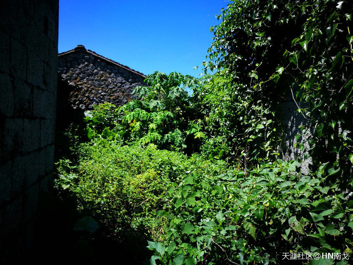 澄迈大美村:古时繁华 拥有特色古石屋民居