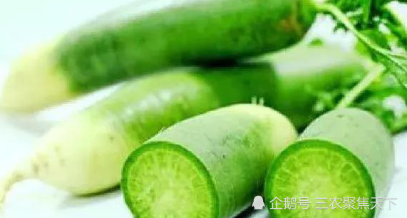 白萝卜红萝卜都不如绿萝卜,生吃更美味,还有这