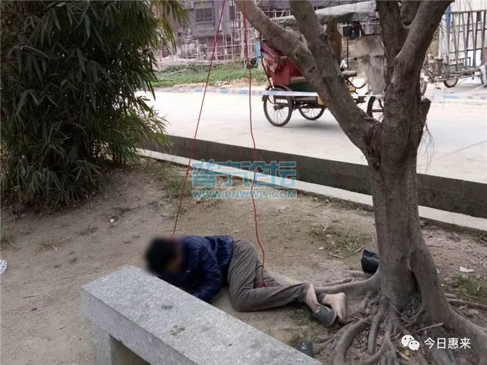 被发现后弃车逃跑 4 惠来男子在流沙树下上吊身亡 叔恶死 今天(12月26