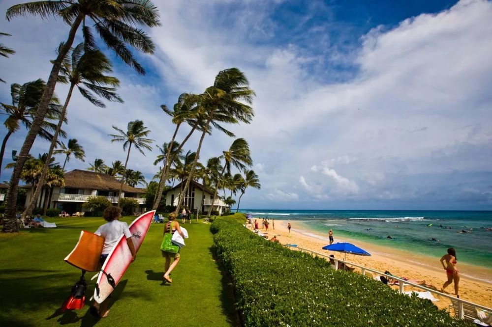 在波普海滩公园(poipu beach park),幸运的话,你还会看到濒临灭绝