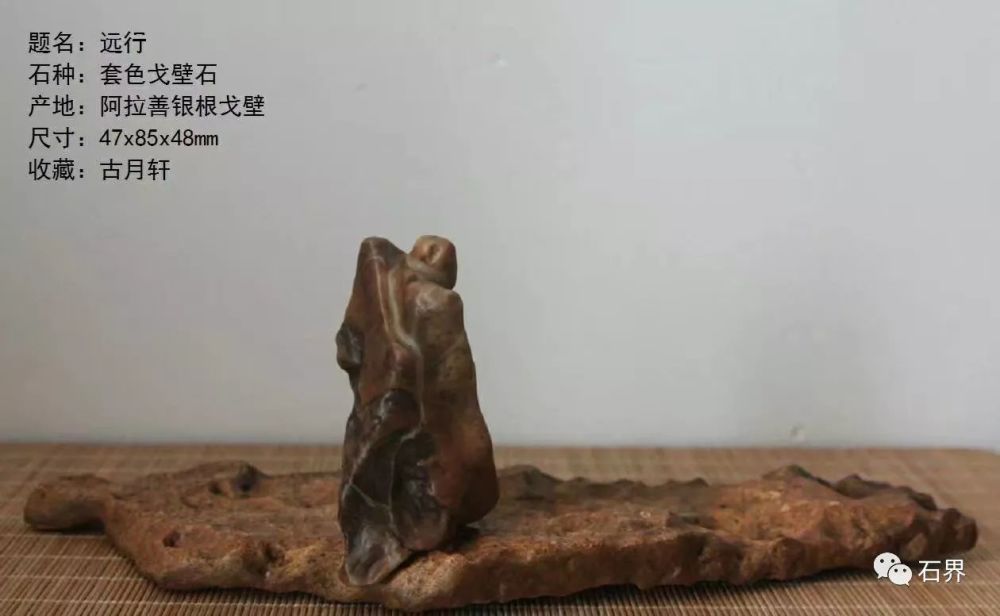 胡建民：也谈“赏石文化” 图